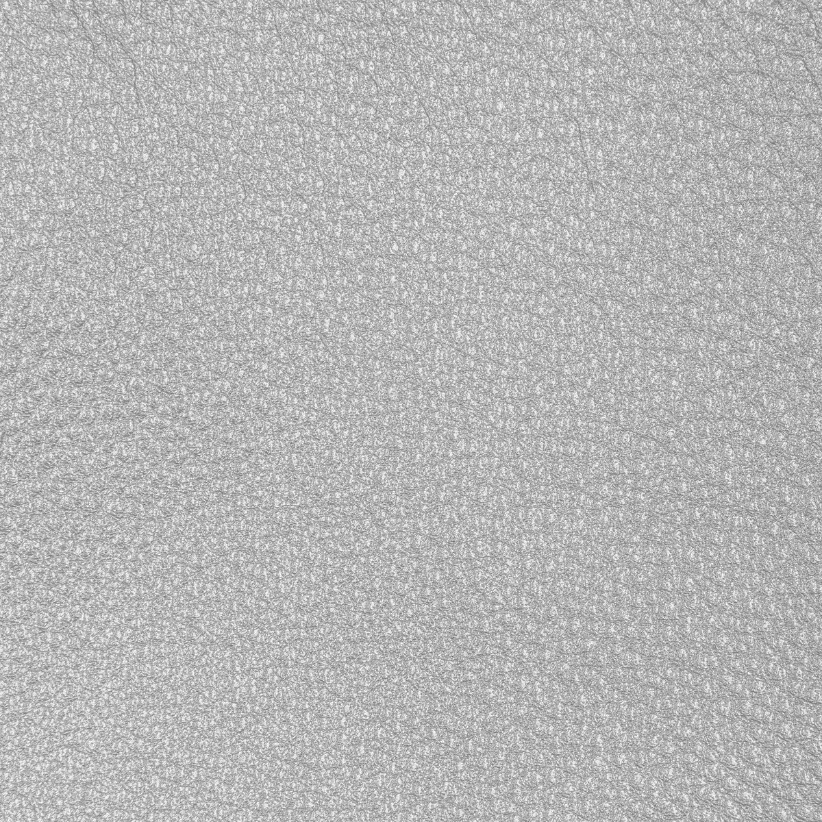 l-conchassilver0-kravet-design-l-conchas-silver-kravet-design