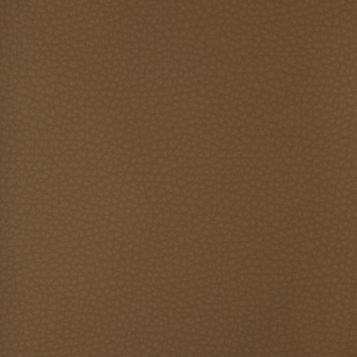 areni60-kravet-design-areni-6-kravet-design