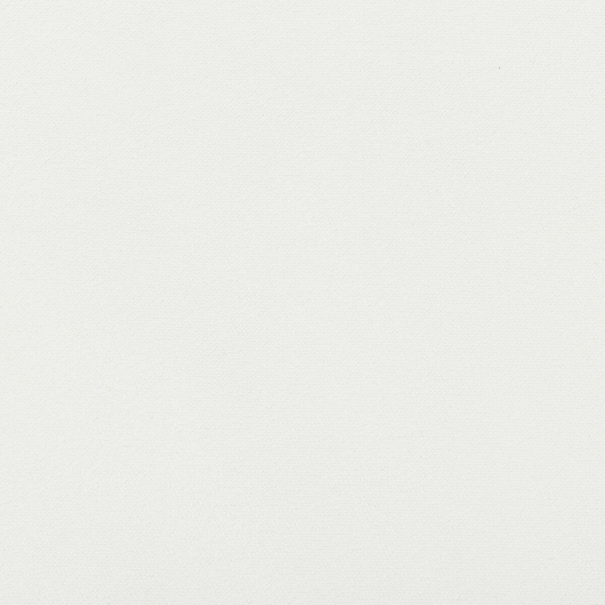 354021010-madison-velvet-snow-kravet-contract - KRAVET CONTRACT Fabric