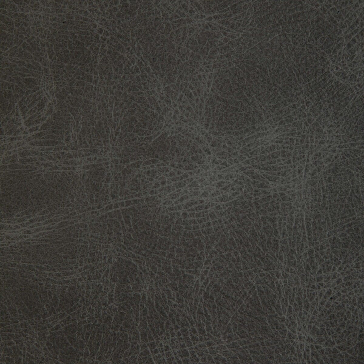 l-ovinestorm0-l-ovine-storm-kravet-design - KRAVET DESIGN Fabric