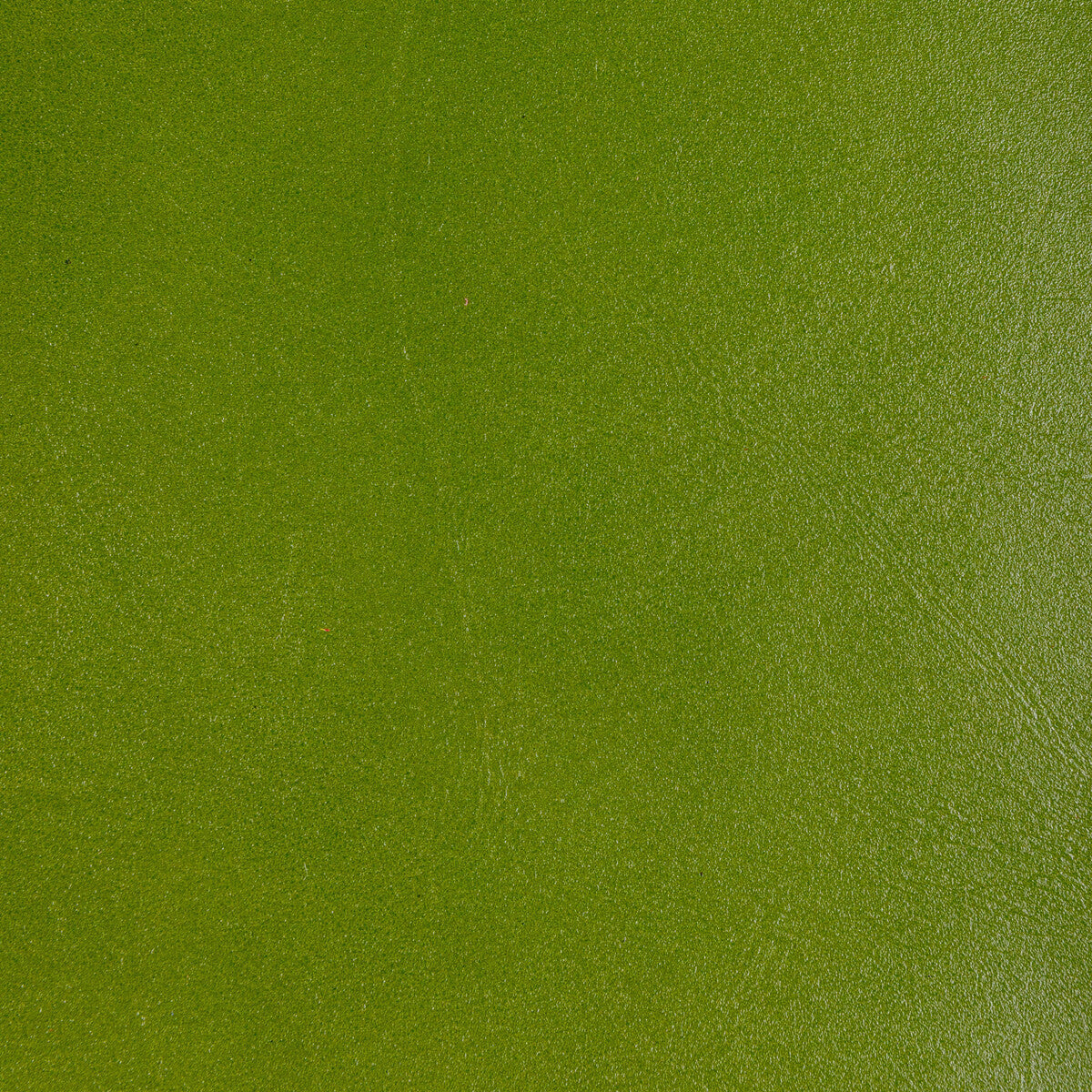 l-cofferlime0-kravet-design-l-coffer-lime-kravet-design