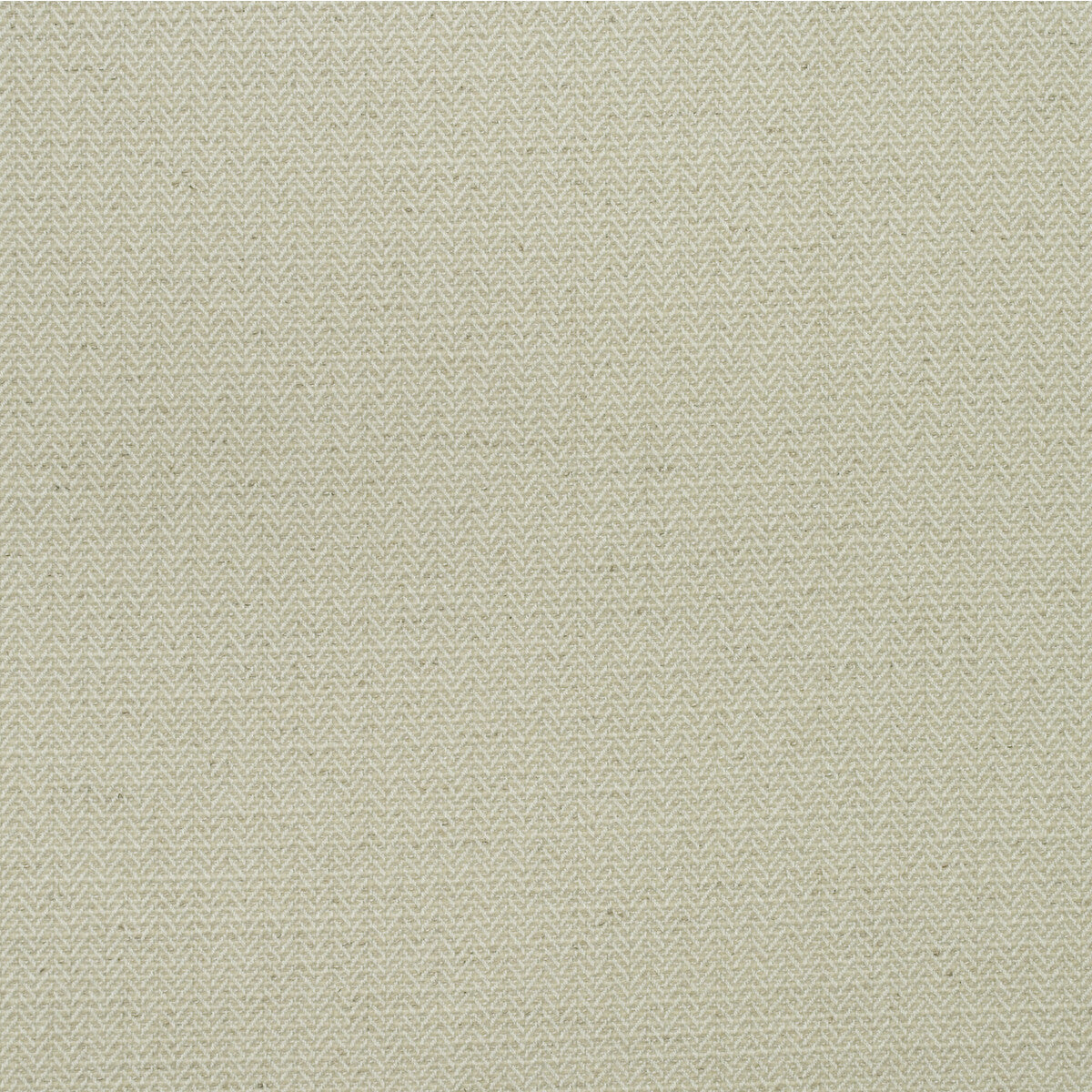 am10039110-birds-foot-chalk-kravet-couture