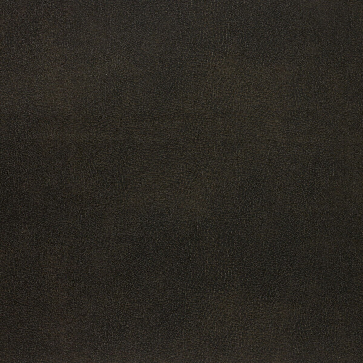 caswell660-kravet-design-caswell-66-kravet-design