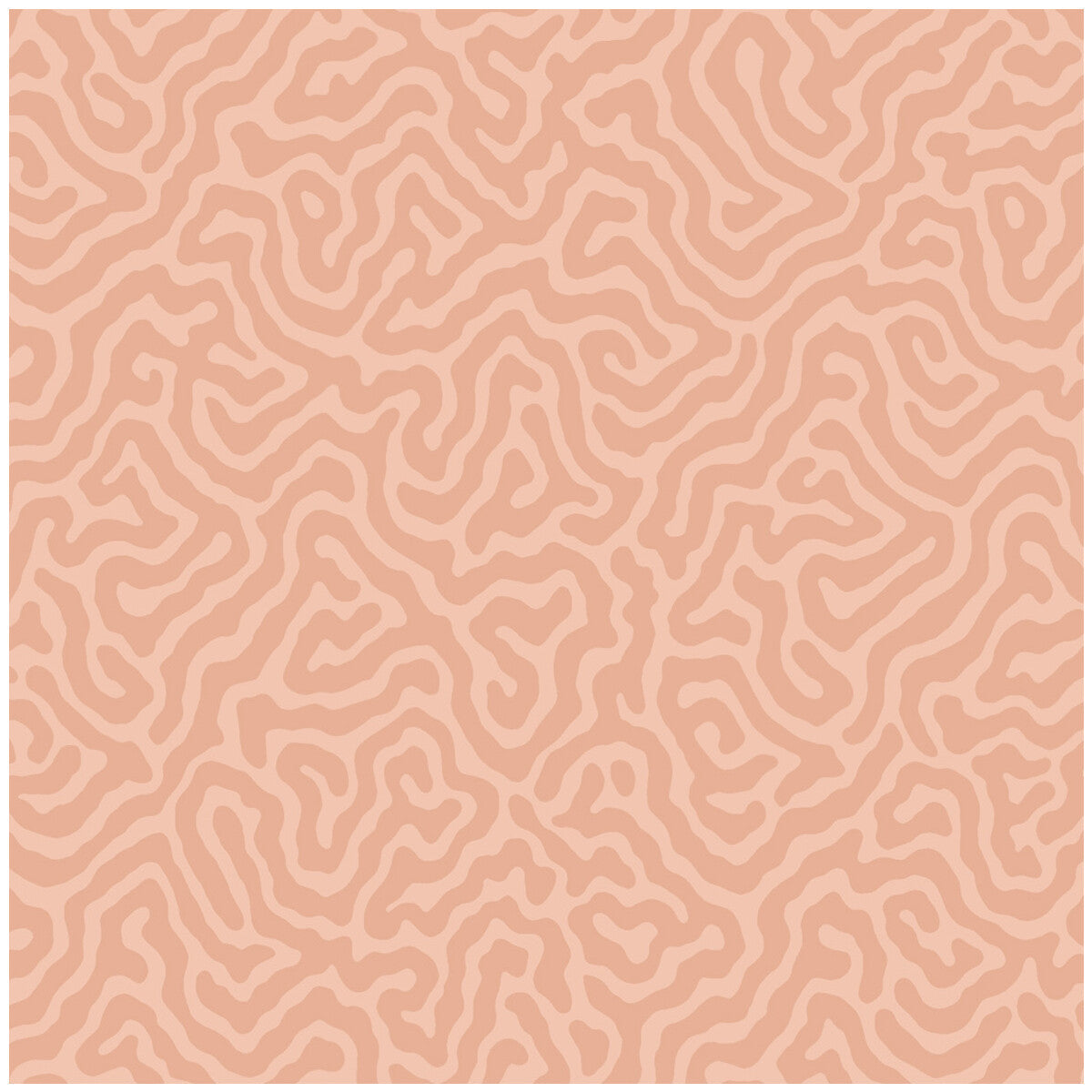 1065075cs0-coral-salmon-cole-son