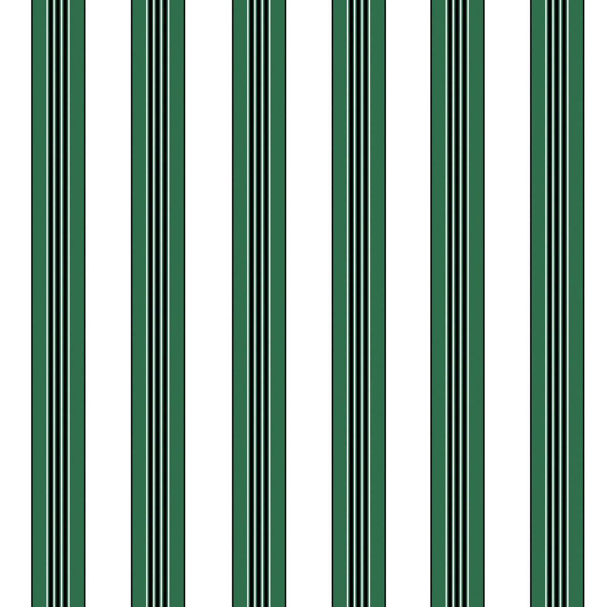 p8015104530-rayure-lione-emerald-brunschwig-fils