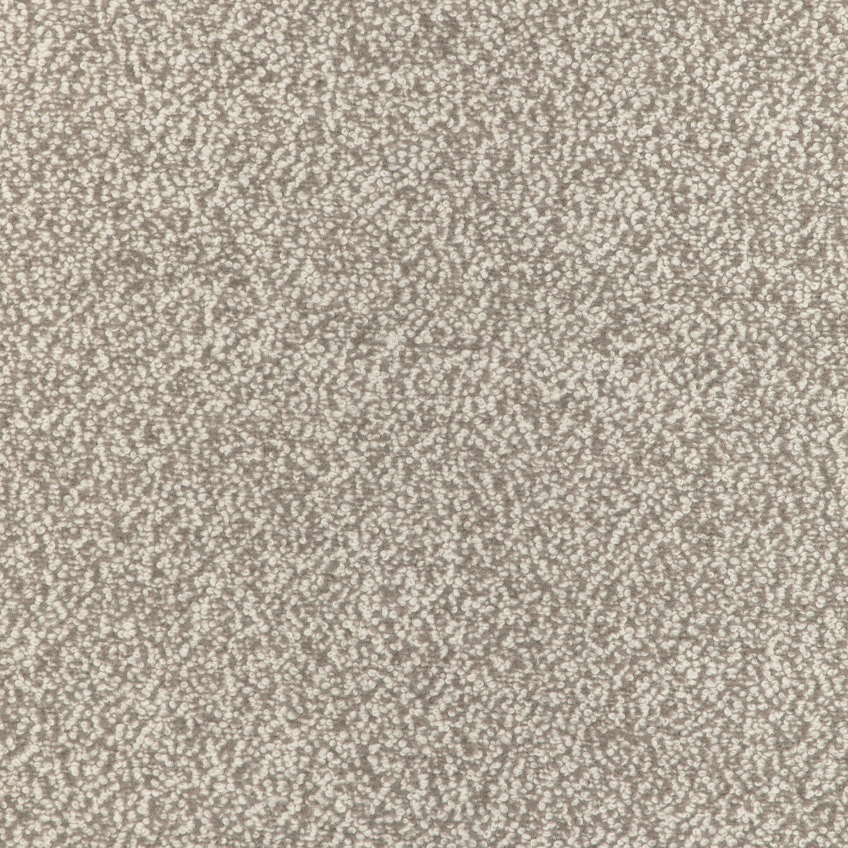 3689860-alpaca-boucle-fawn-kravet-couture