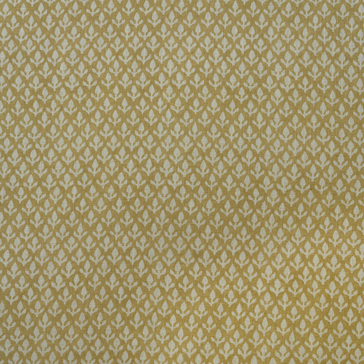 am1003794160-bud-honey-kravet-couture