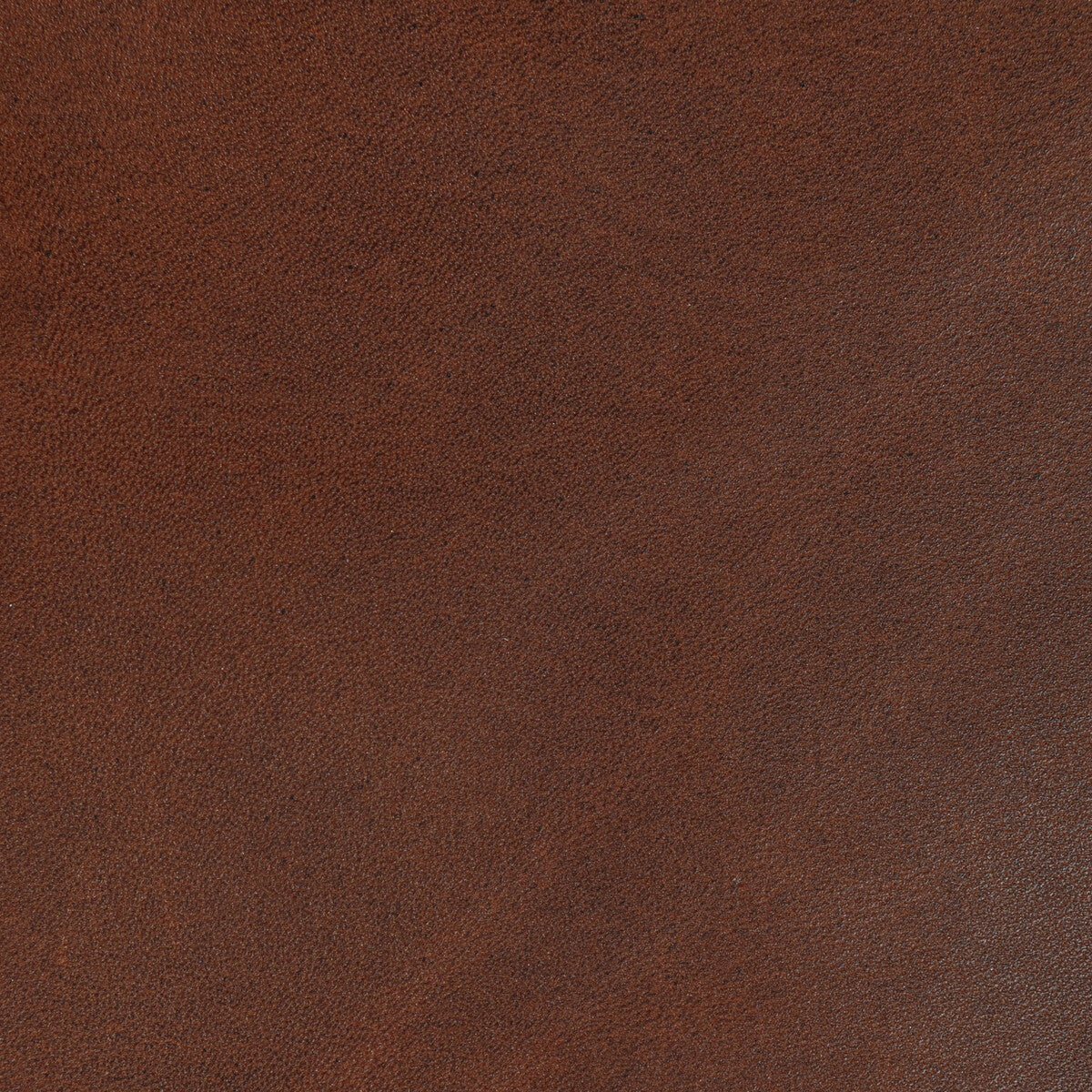 l-storriecocoa0-kravet-design-l-storrie-cocoa-kravet-design
