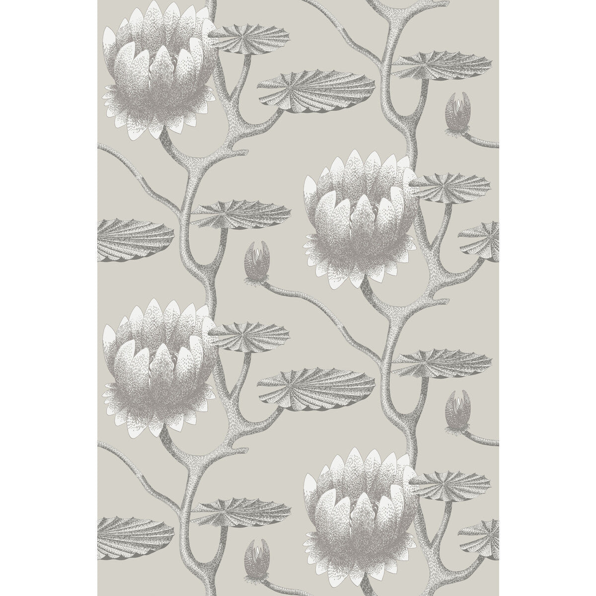 954025cs0-summer-lily-taupewhite-cole-son - COLE & SON Wallpaper