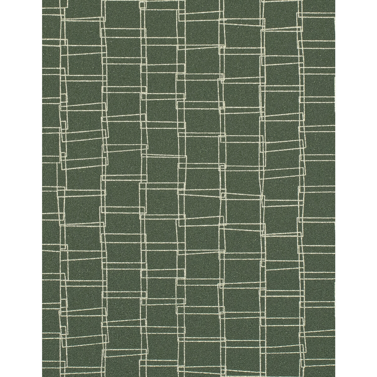 wtn1087wt0-looped-forest-winfield-thybony - WINFIELD THYBONY Wallpaper