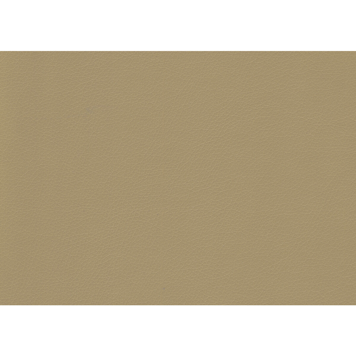 valera160-valera-dune-kravet-contract - KRAVET CONTRACT Fabric