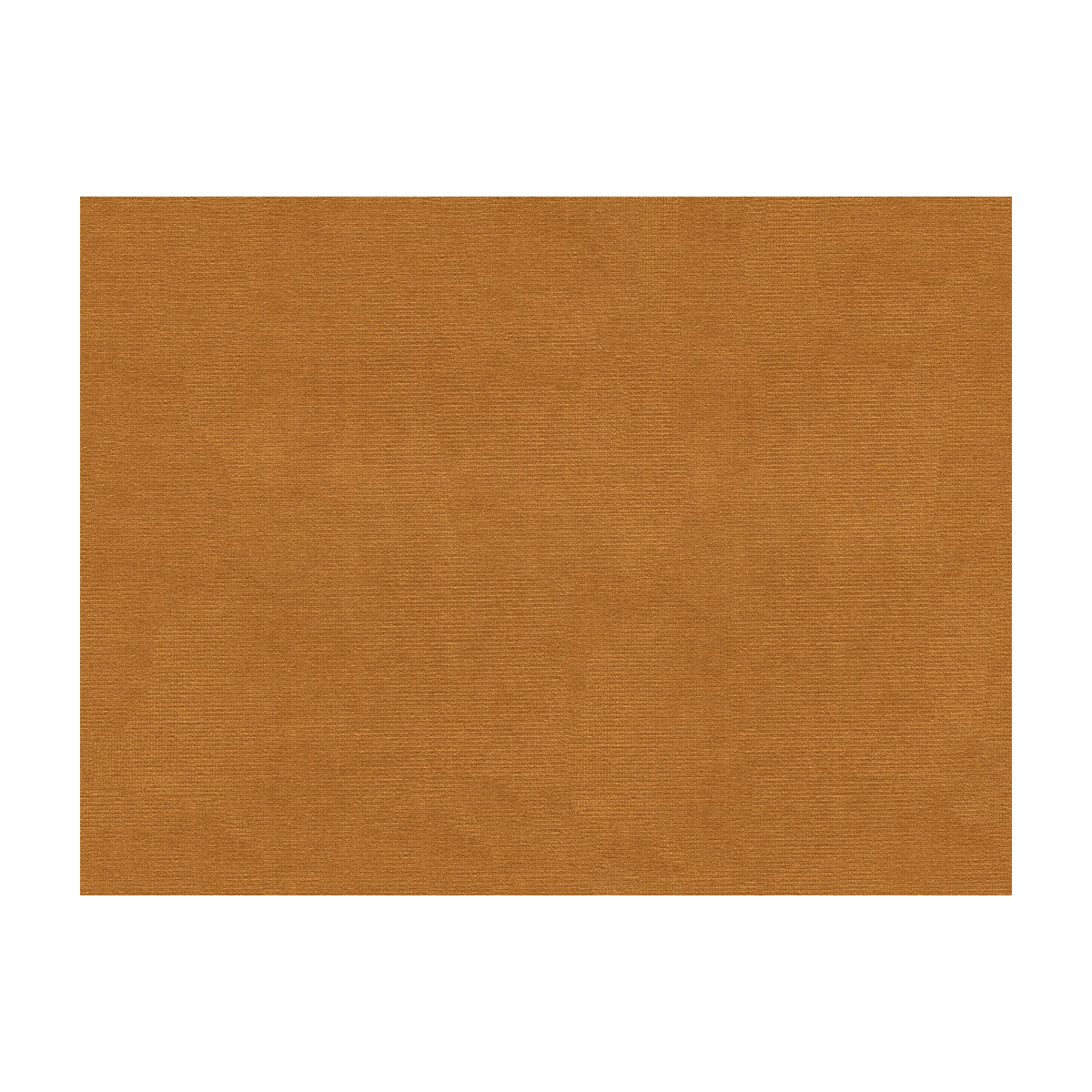 br-897793490-lubeck-cotton-velvet-honey-brunschwig-fils - BRUNSCHWIG & FILS Fabric