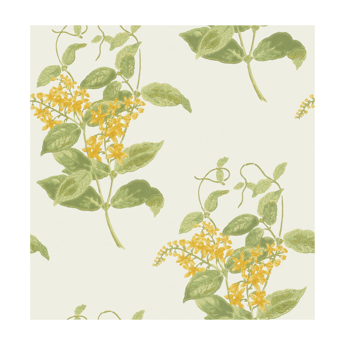 10012059cs0-madras-violet-yellow-cole-son
