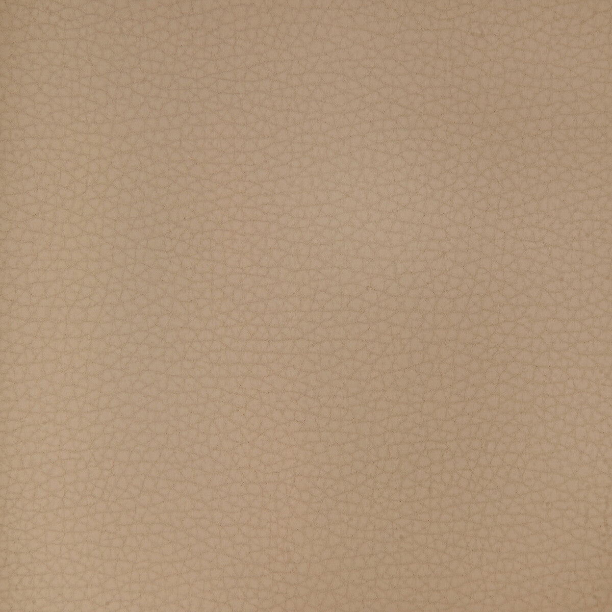 areni11010-kravet-design-areni-1101-kravet-design