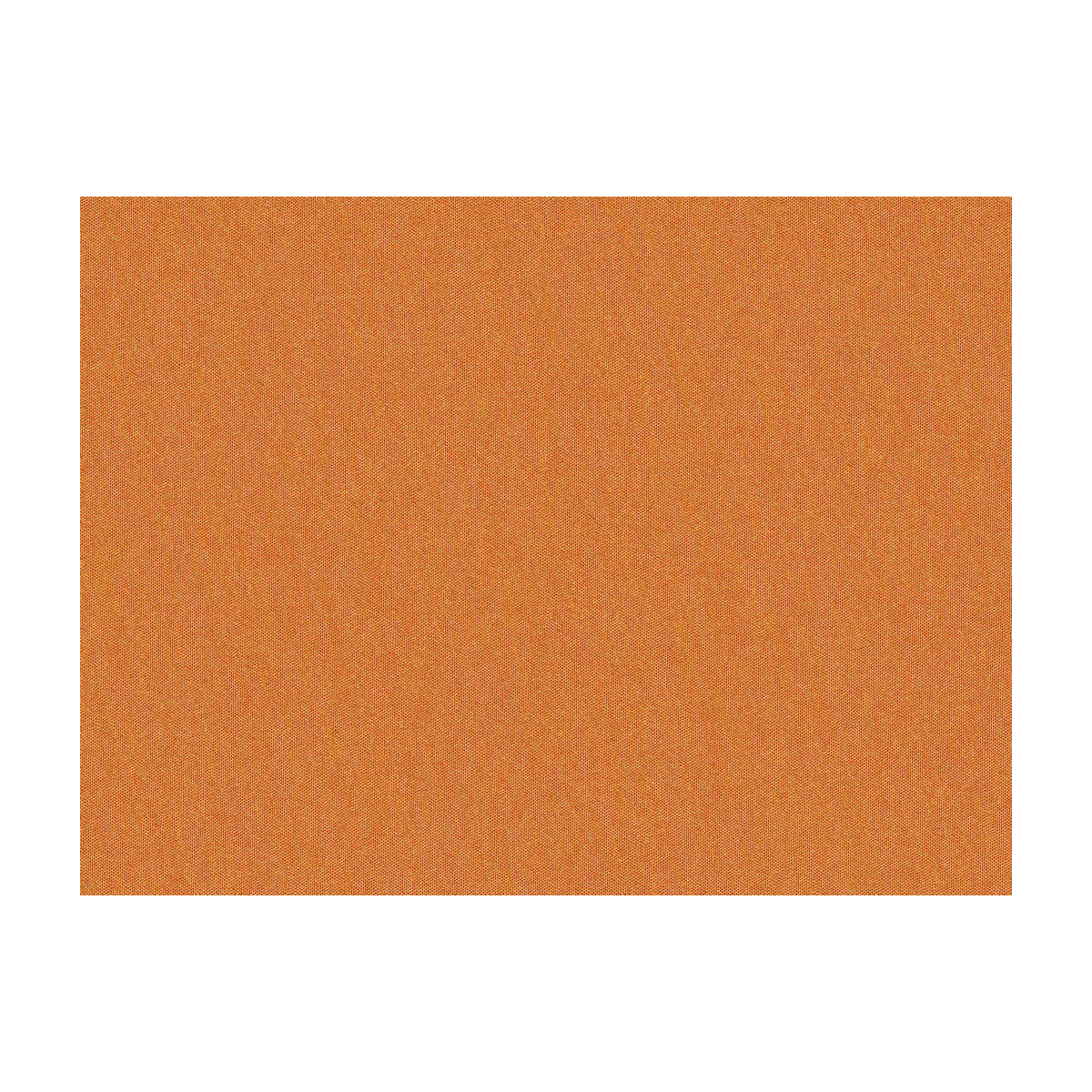 jag-50020220-shots-terra-cotta-brunschwig-fils