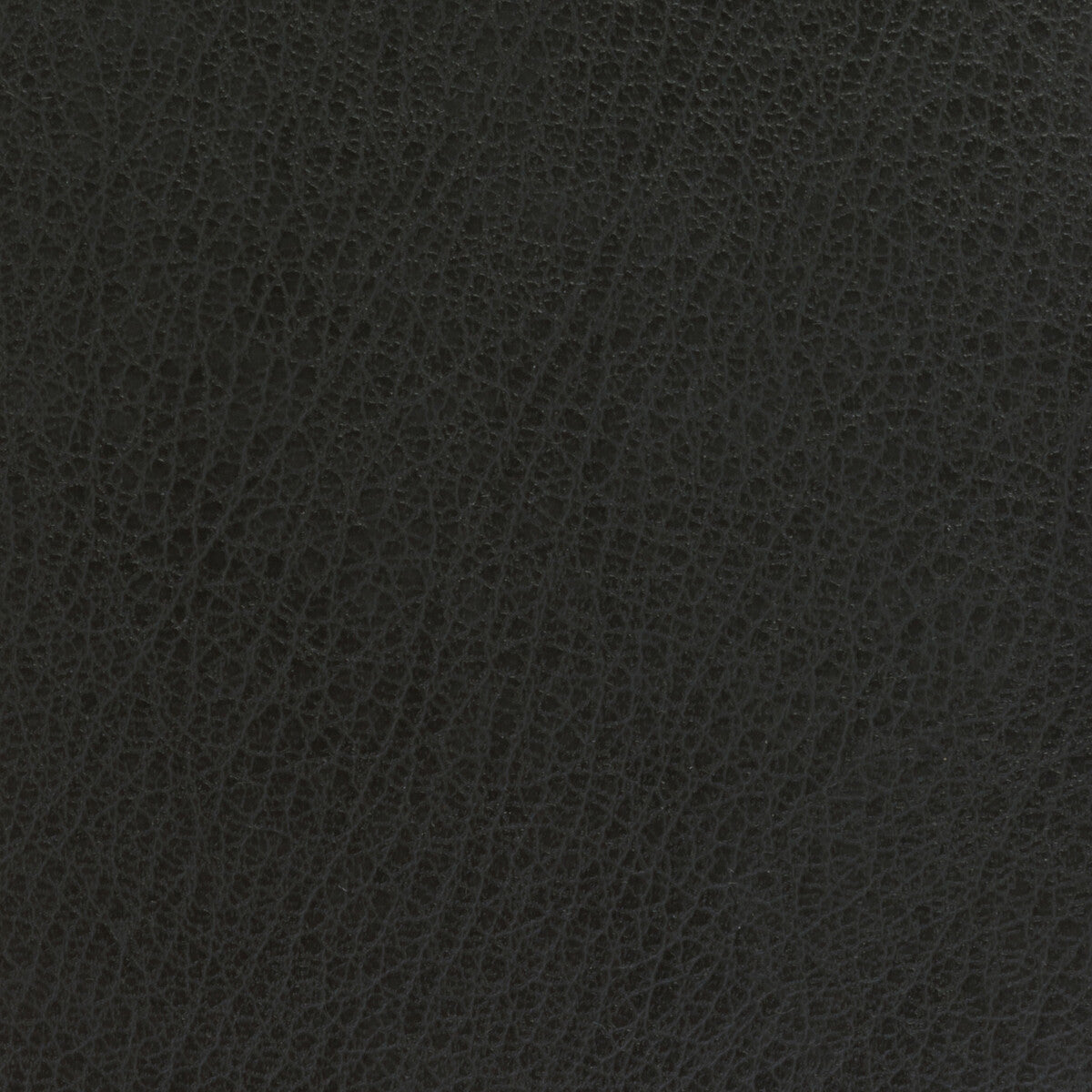 celine210-kravet-basics-celine-21 - KRAVET BASICS Fabric