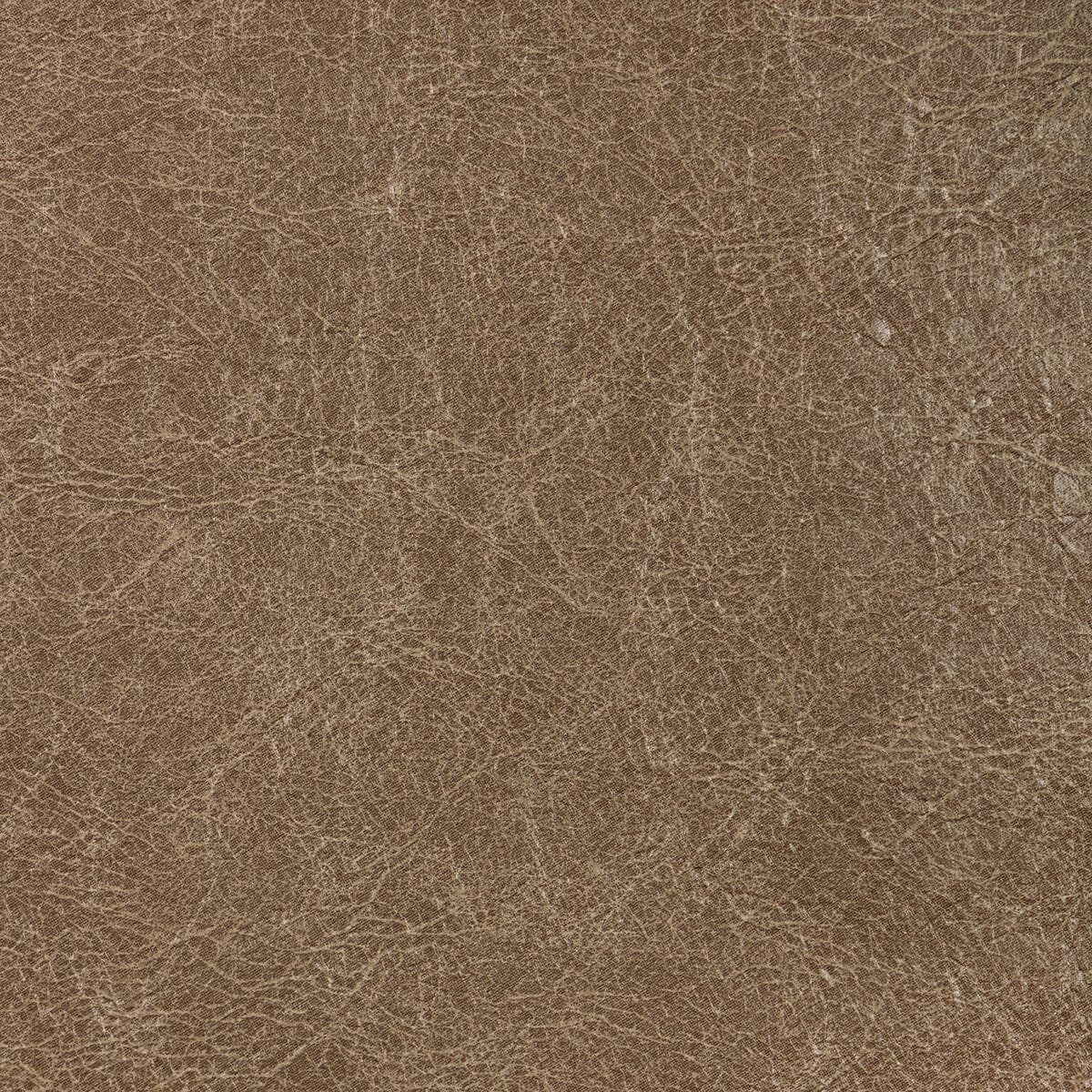 reboot6110-reboot-bison-kravet-contract