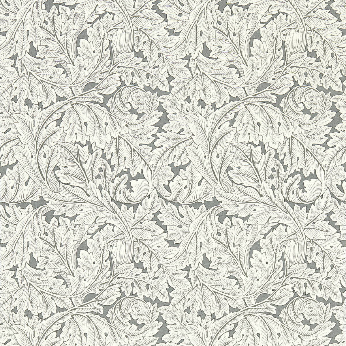 w017502cac0-acanthus-wp-slate-clarke-and-clarke - CLARKE AND CLARKE Wallpaper