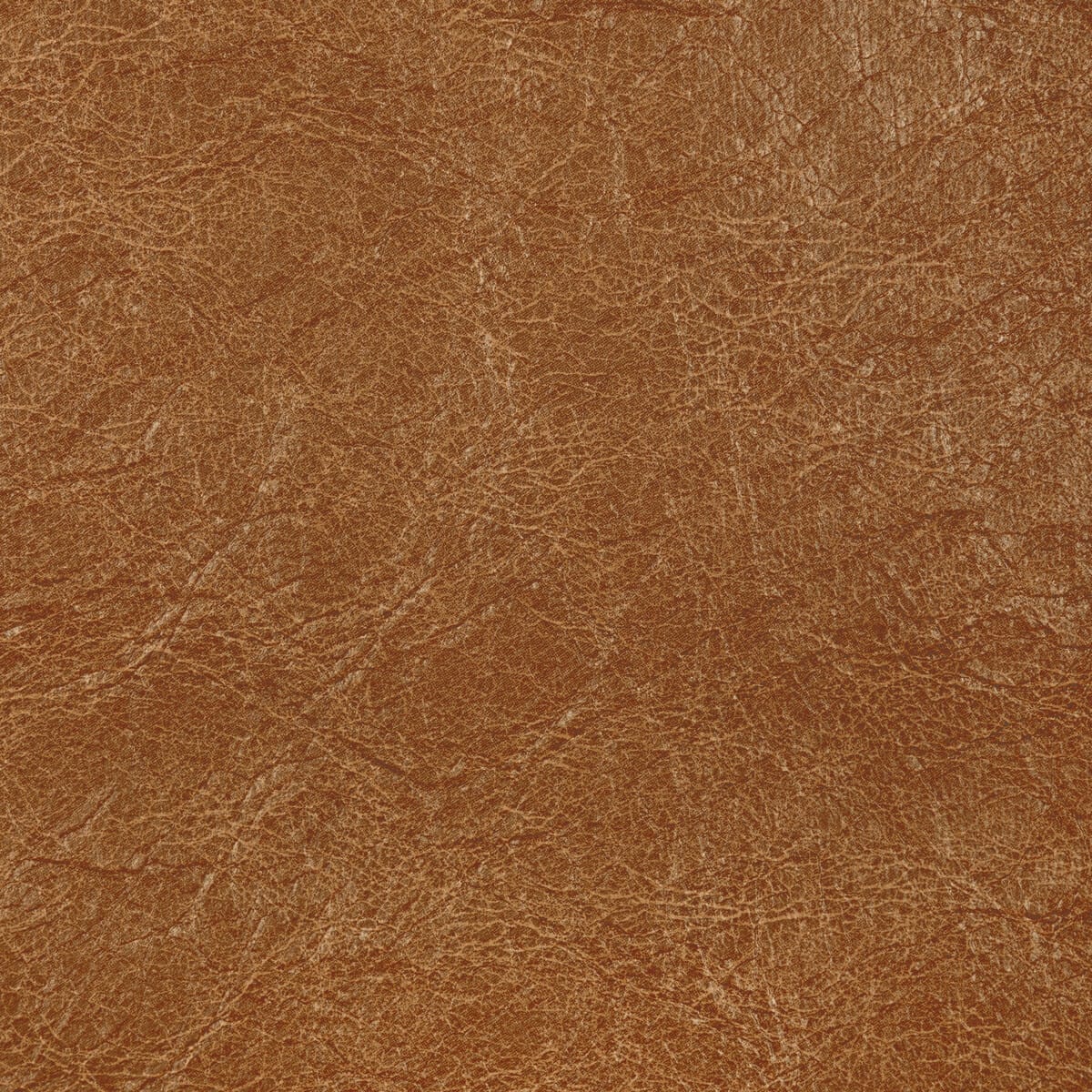 reboot640-reboot-buck-kravet-contract - KRAVET CONTRACT Fabric