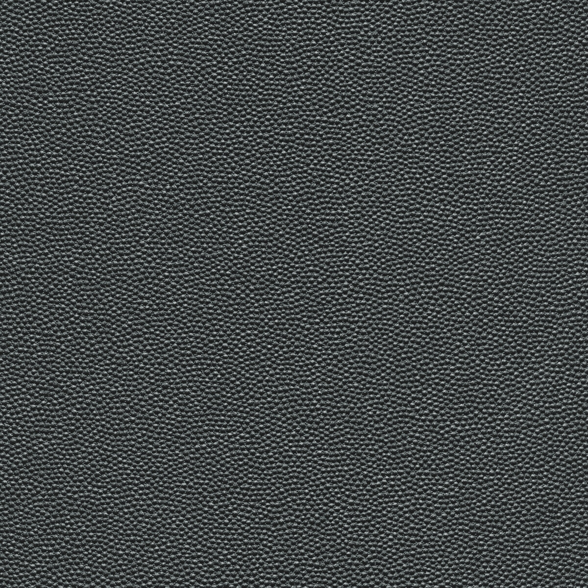 hammer210-kravet-design-hammer-21-kravet-design