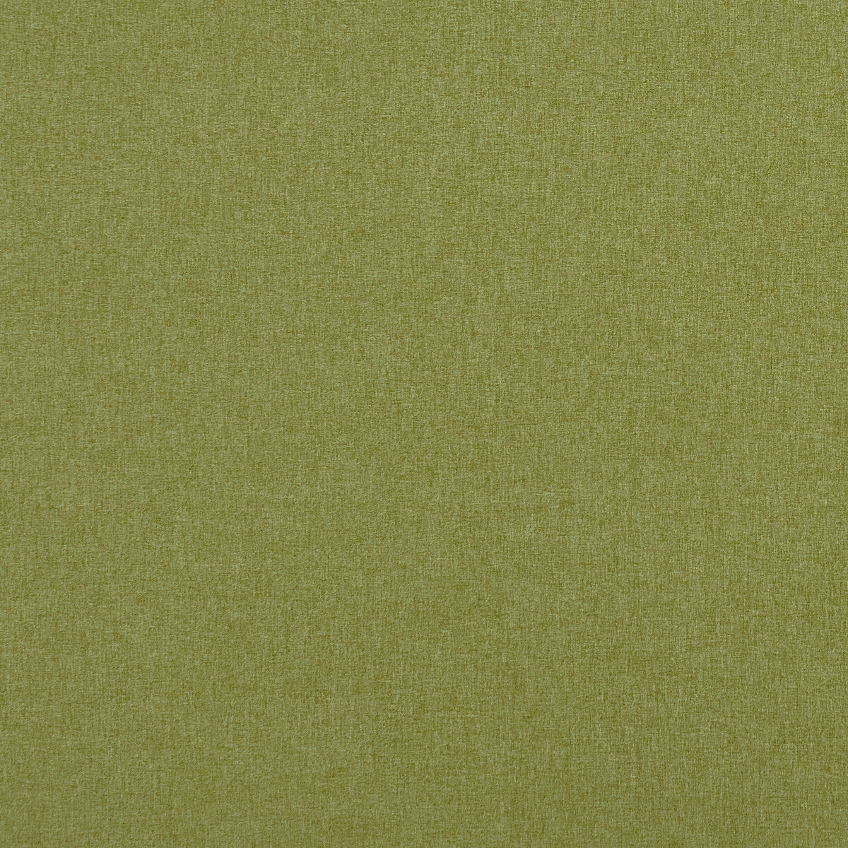 f084853cac0-highlander-leaf-clarke-and-clarke - CLARKE AND CLARKE Fabric