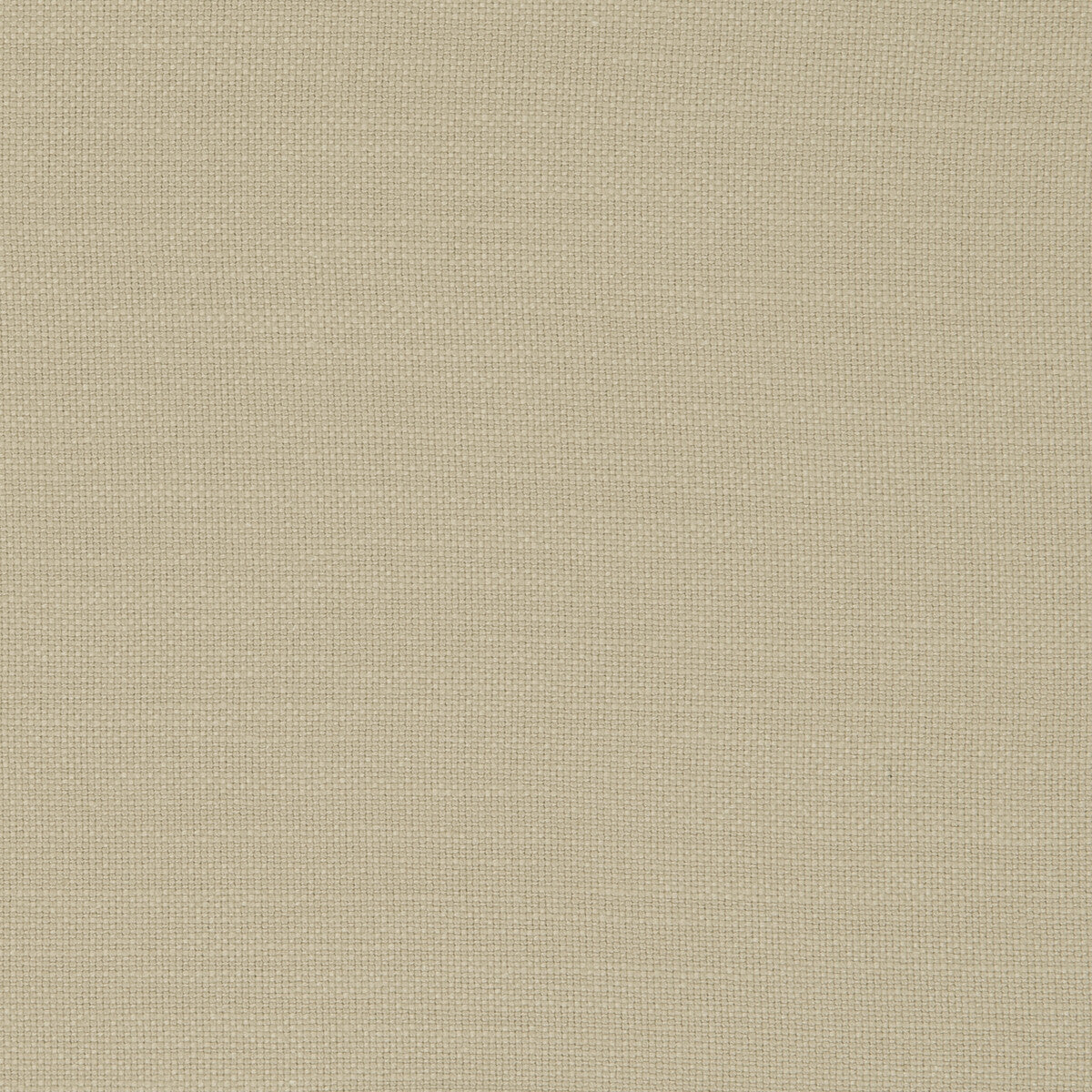 f059445cac0-nantucket-sesame-clarke-and-clarke