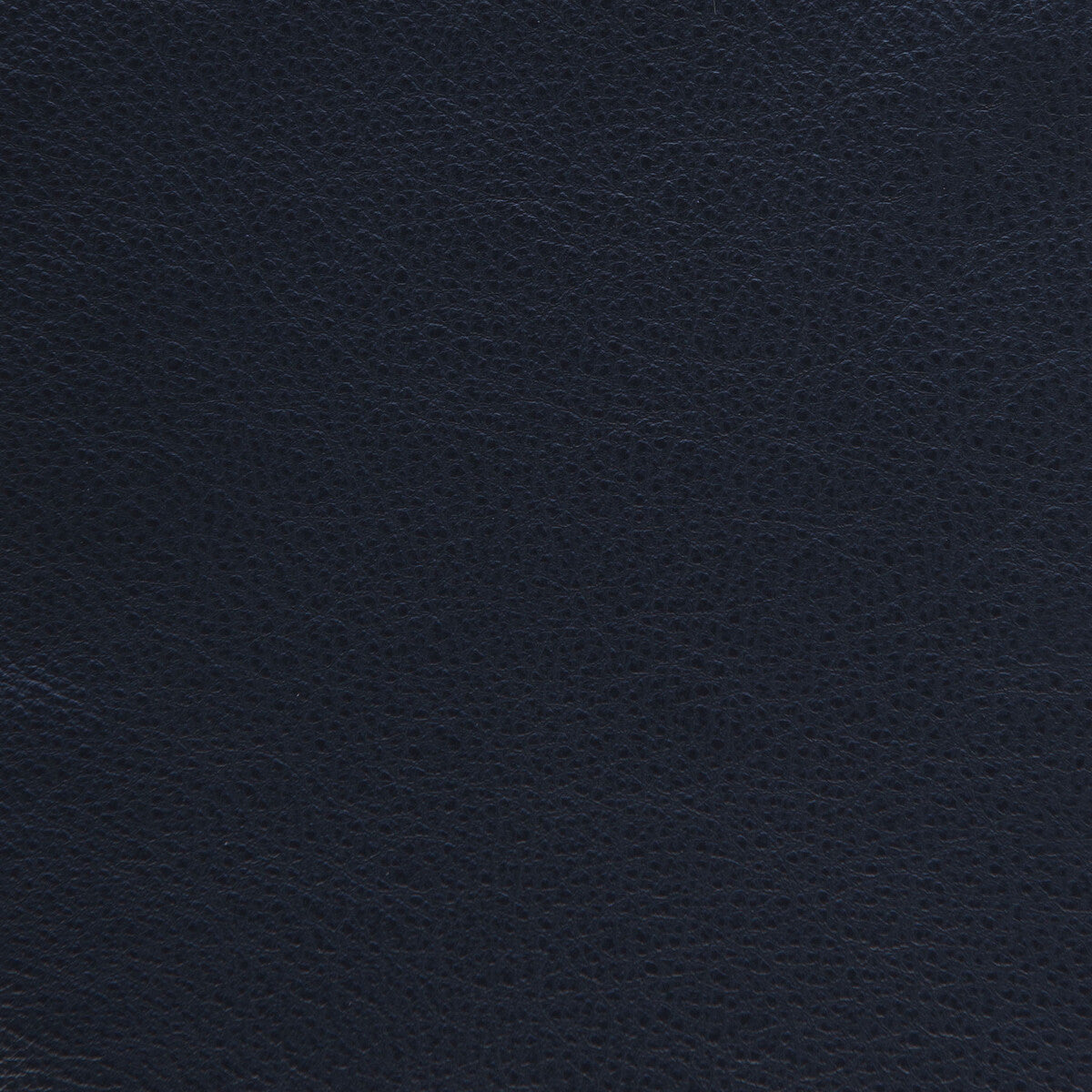 l-dreamerocean0-kravet-design