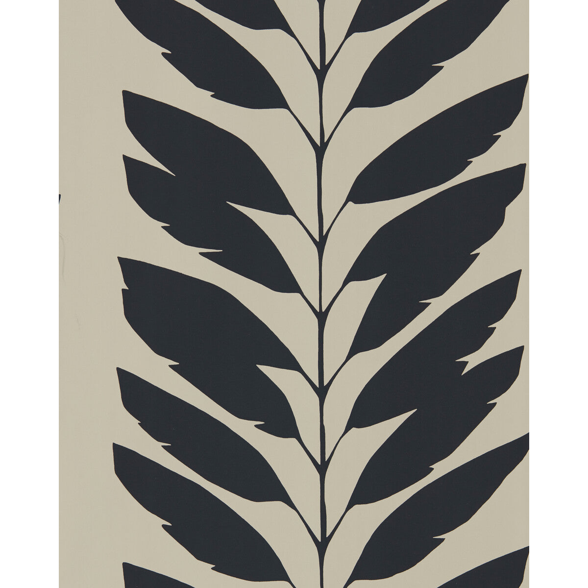 nloh111308scn0-malva-liquorice-scion