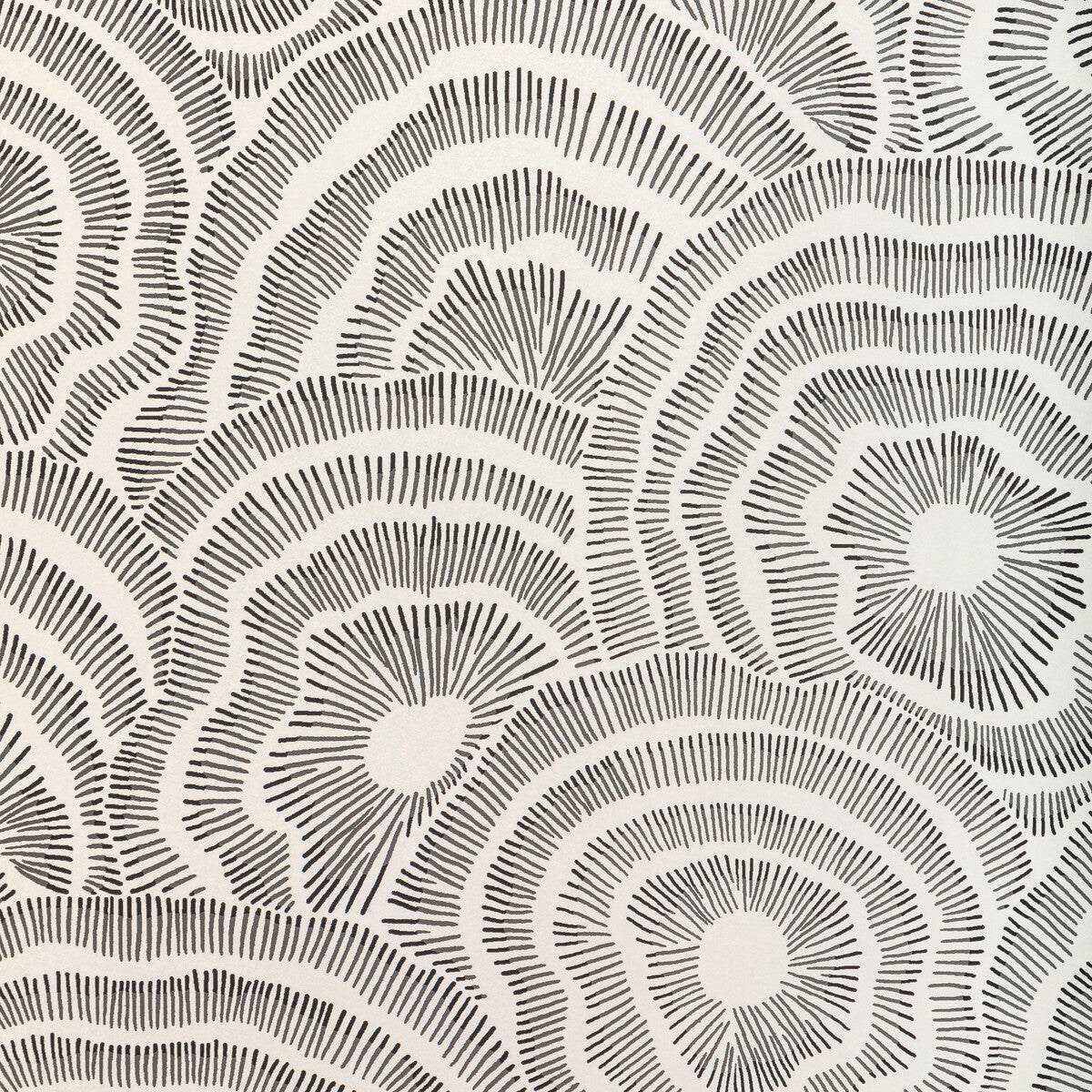 w3823810-panache-wp-noir-kravet-couture - KRAVET COUTURE Wallpaper