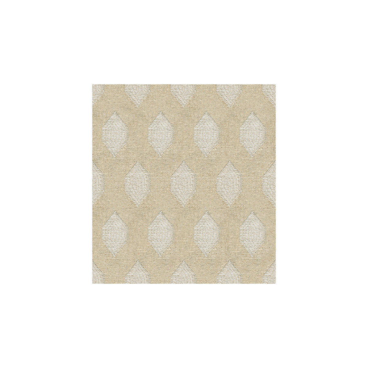 pf503791050-anisha-natural-baker-lifestyle