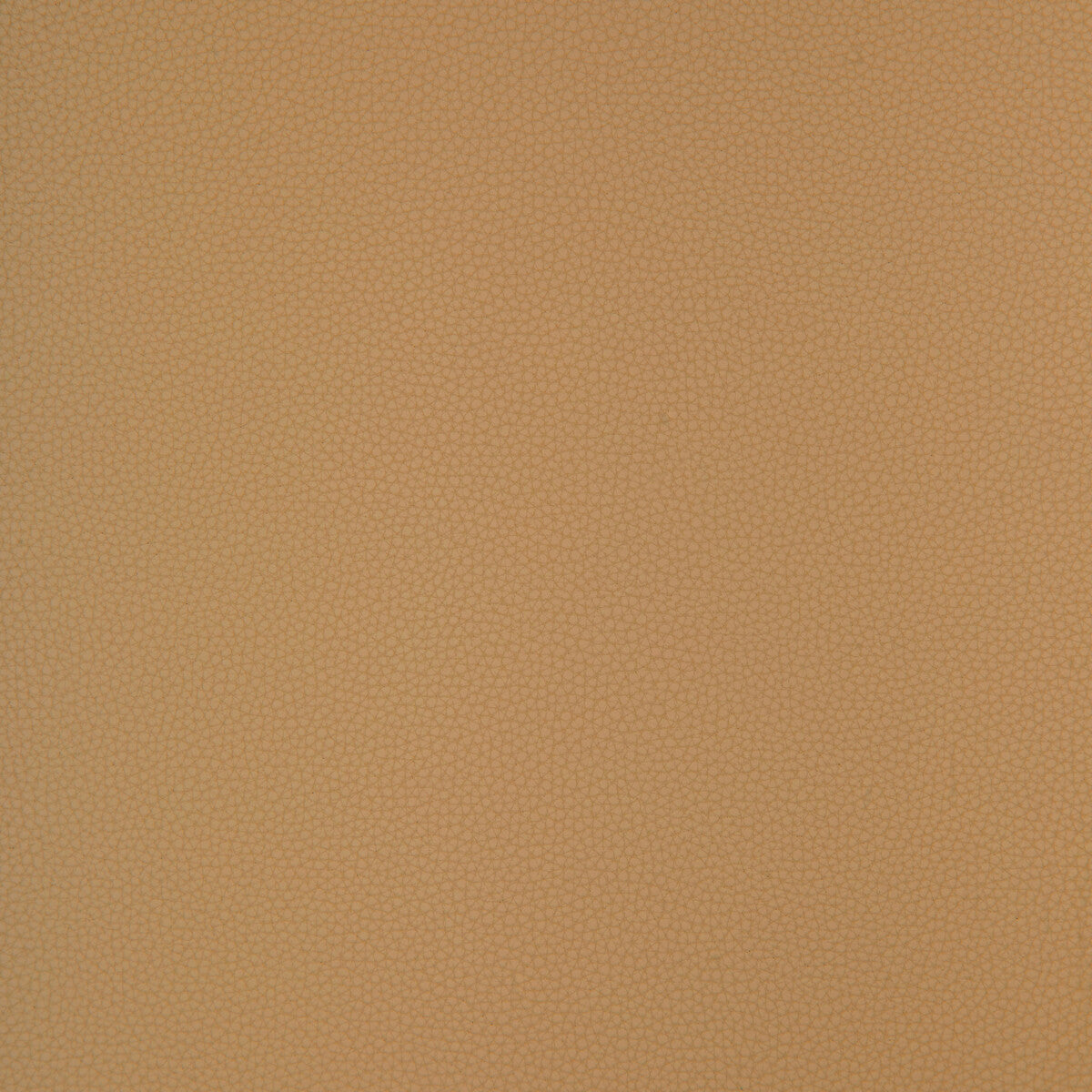 bind1160-kravet-design-bind-116-kravet-design