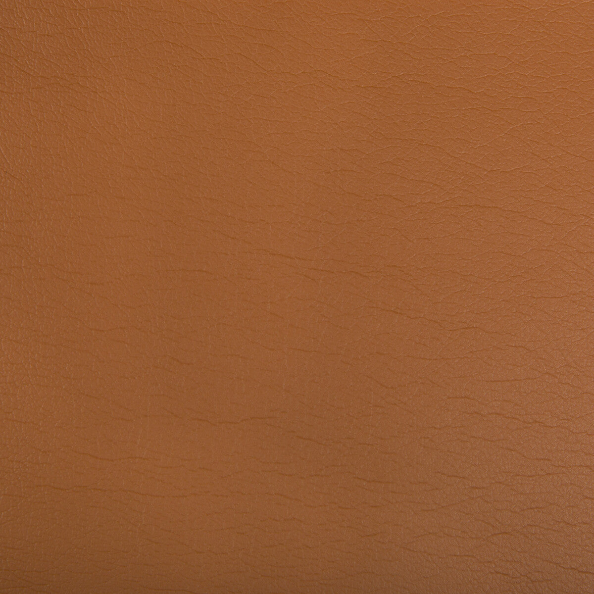 optima1240-optima-clay-kravet-contract