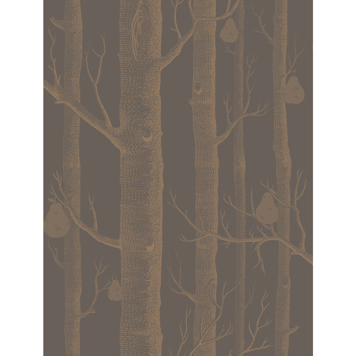 955028cs0-woods-pears-bronzeblack-cole-son - COLE & SON Wallpaper