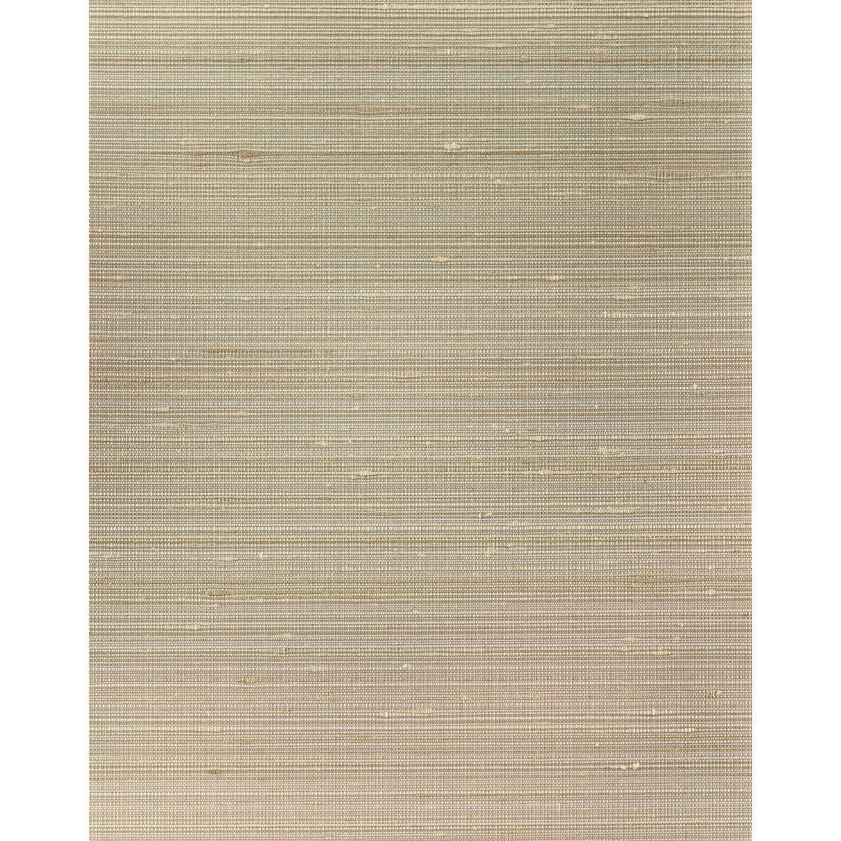 wns5521wt0-grayson-mud-winfield-thybony - WINFIELD THYBONY Wallpaper