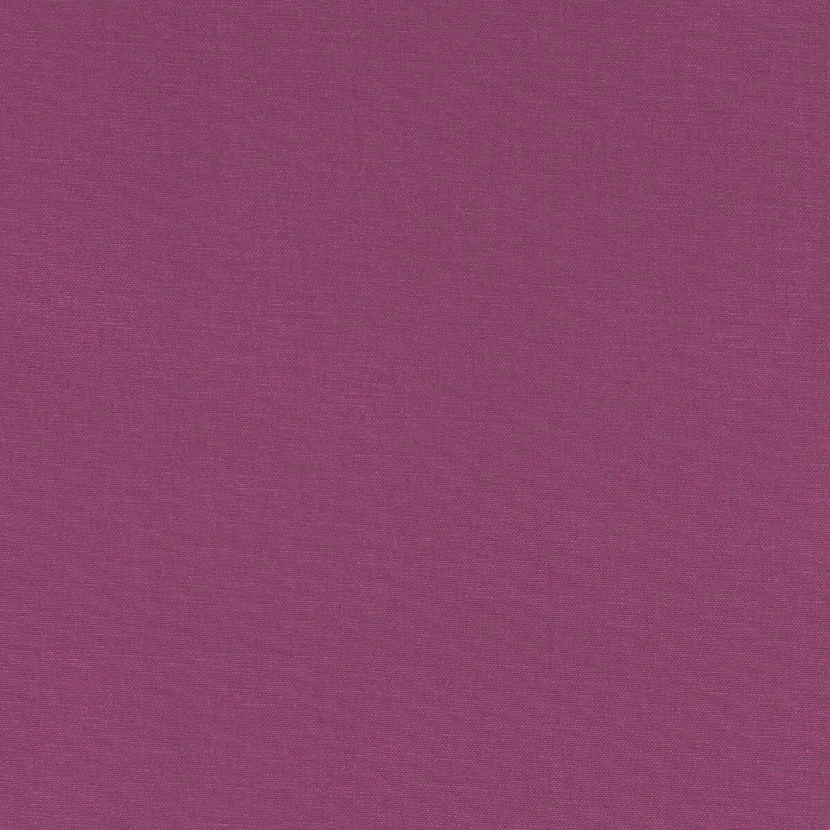 f109734cac0-alora-magenta-clarke-and-clarke