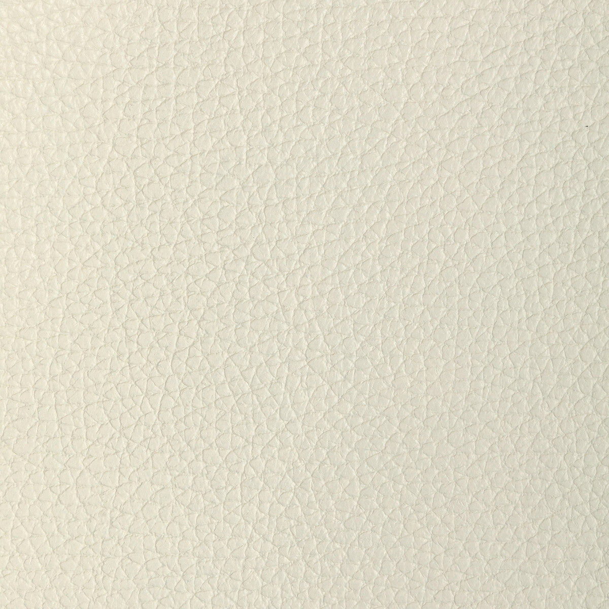 l-tucumoyster0-kravet-design-l-tucum-oyster-kravet-design