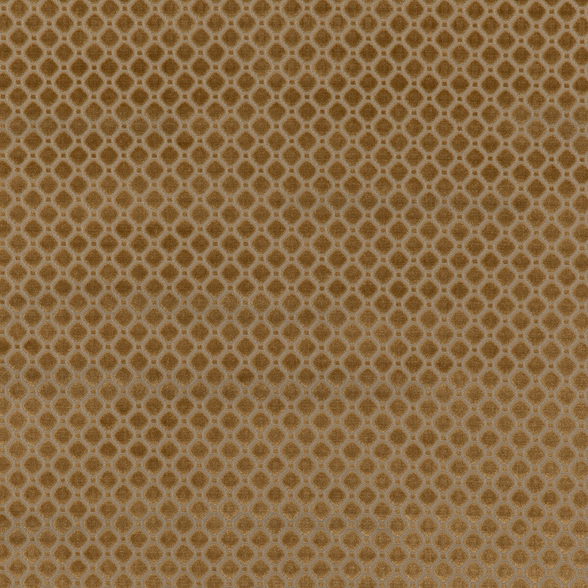 bf108268500-indus-velvet-bronze-g-p-j-baker