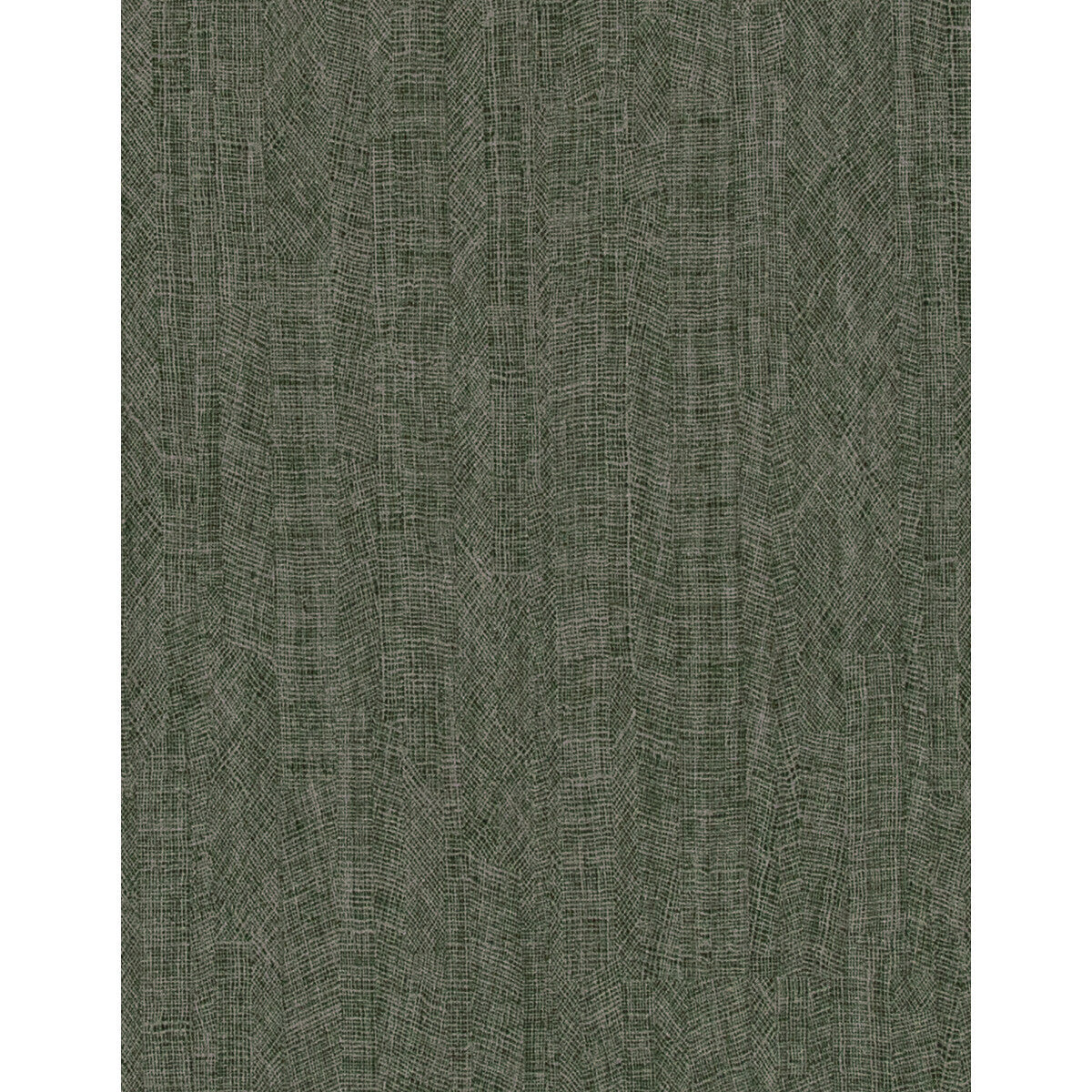 wtn1043wt0-impression-forest-winfield-thybony - WINFIELD THYBONY Wallpaper