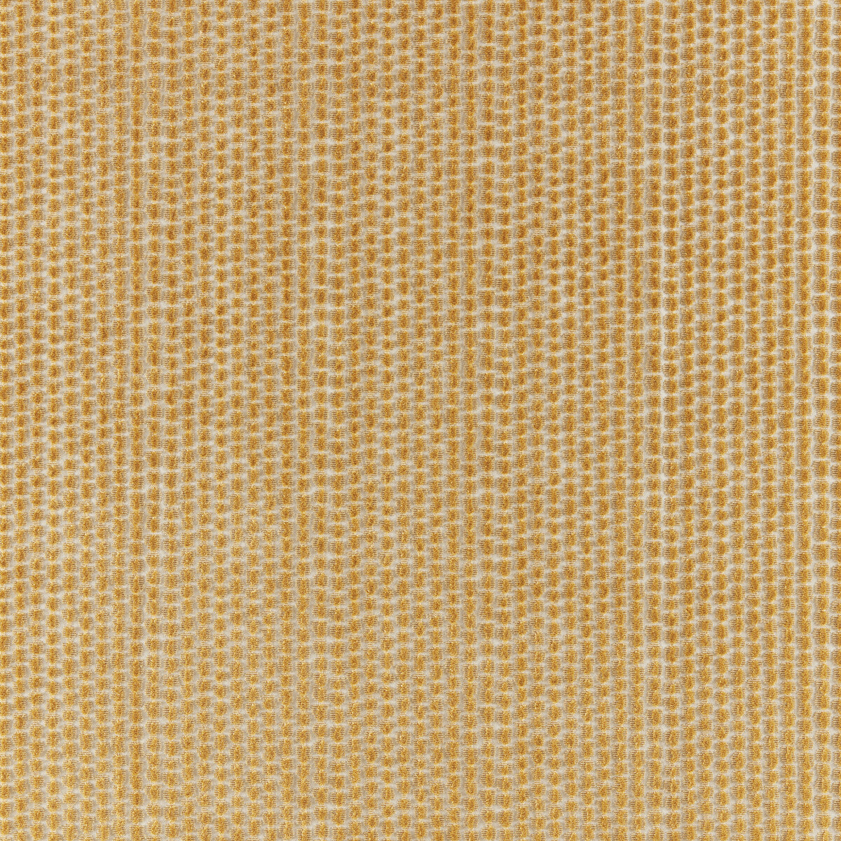 802510340-templon-velvet-gold-brunschwig-fils - BRUNSCHWIG & FILS Fabric