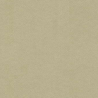 litestar1160-litestar-sand-kravet-design