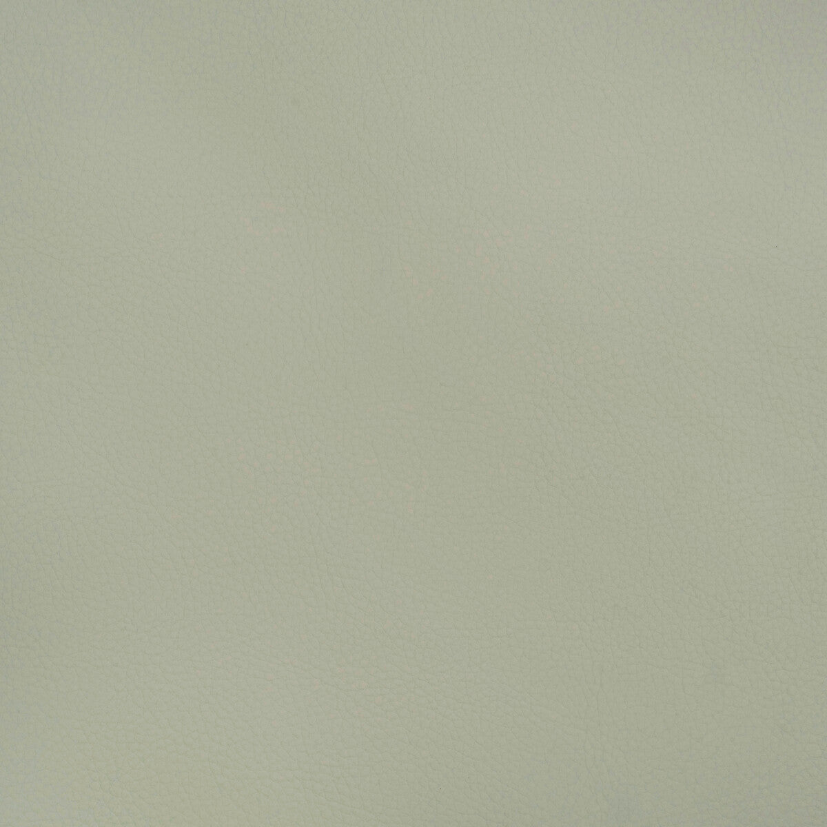 beech15110-kravet-design-beech-1511-kravet-design