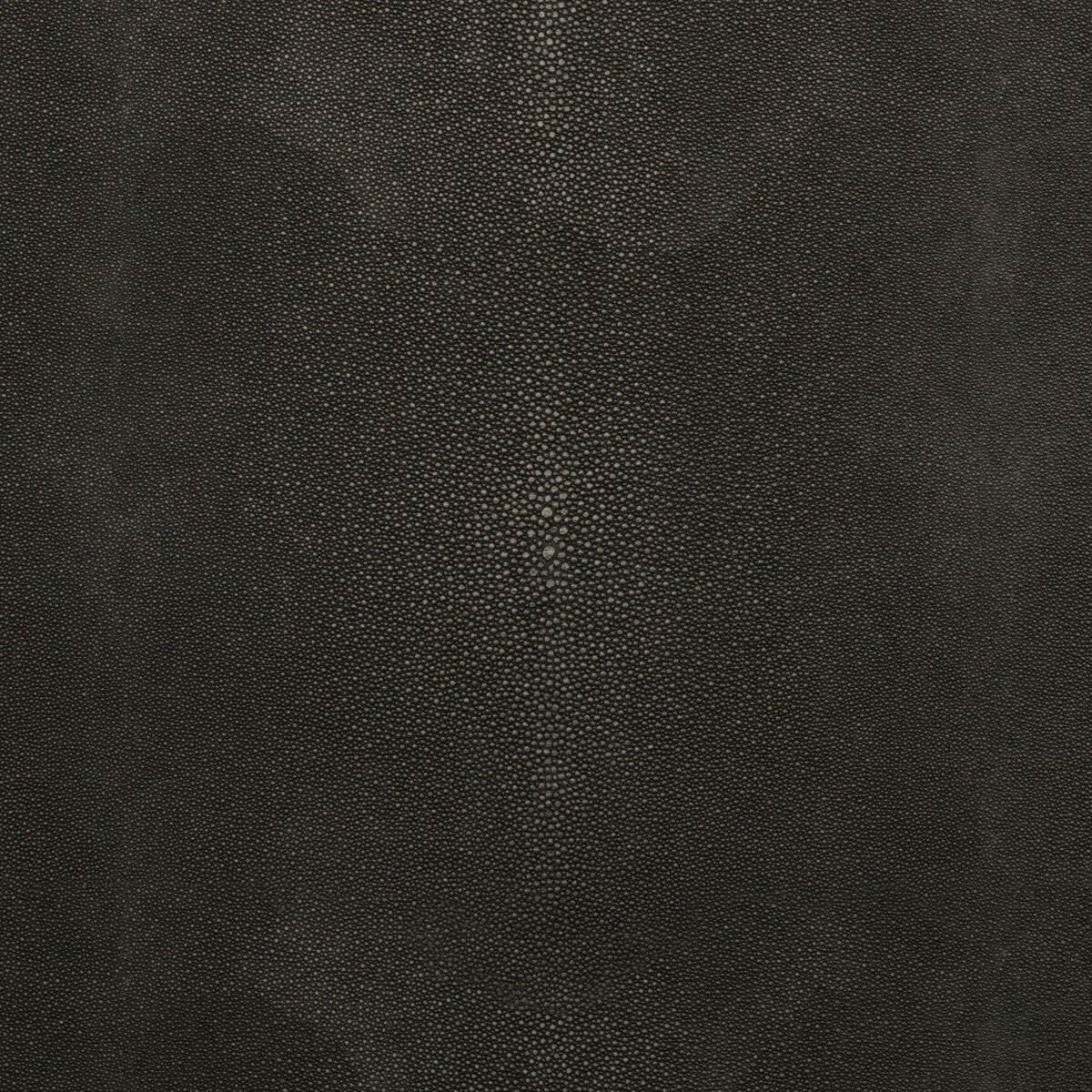 trezzo8210-kf-des-kravet-design - KRAVET DESIGN Fabric