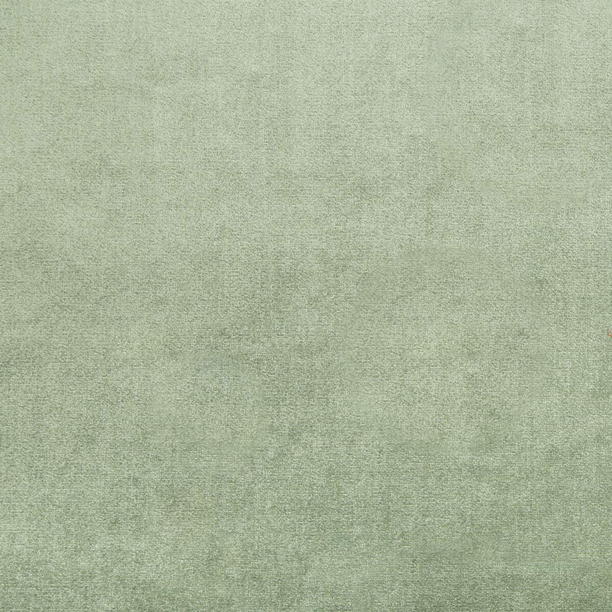 346413530-duchess-velvet-sage-kravet-couture