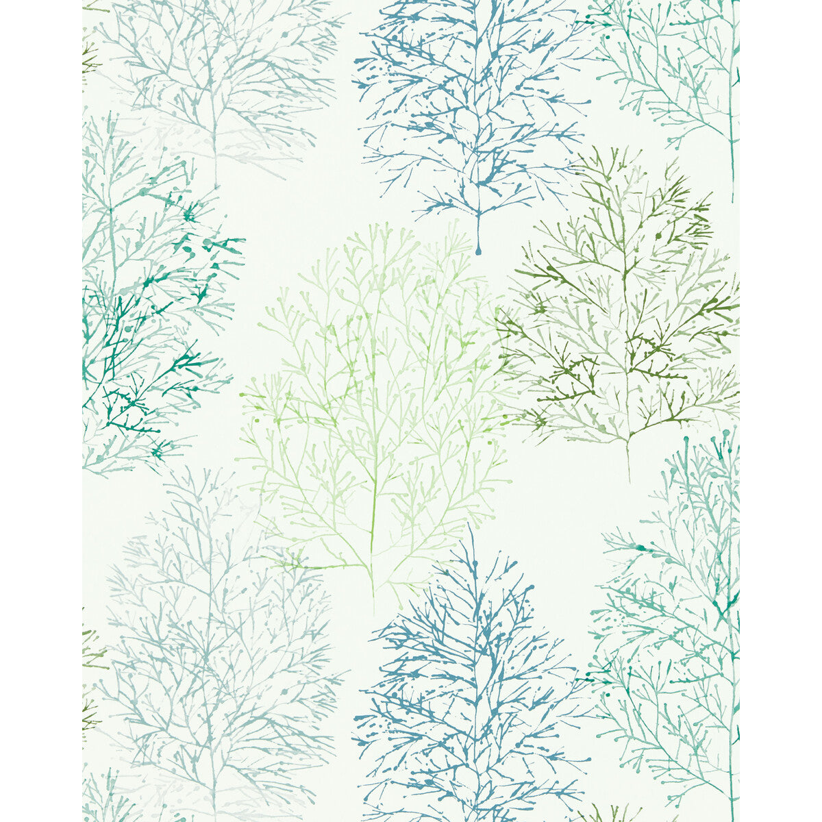 nzaw112002scn0-soetsu-wp-kiwislate-scion