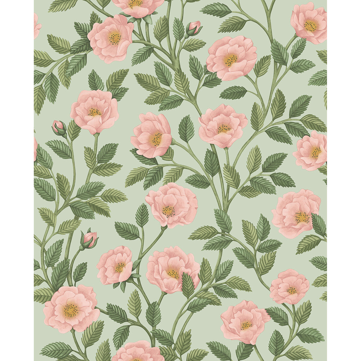 1187014cs0-hampton-roses-rlgrndegg-cole-son - COLE & SON Wallpaper