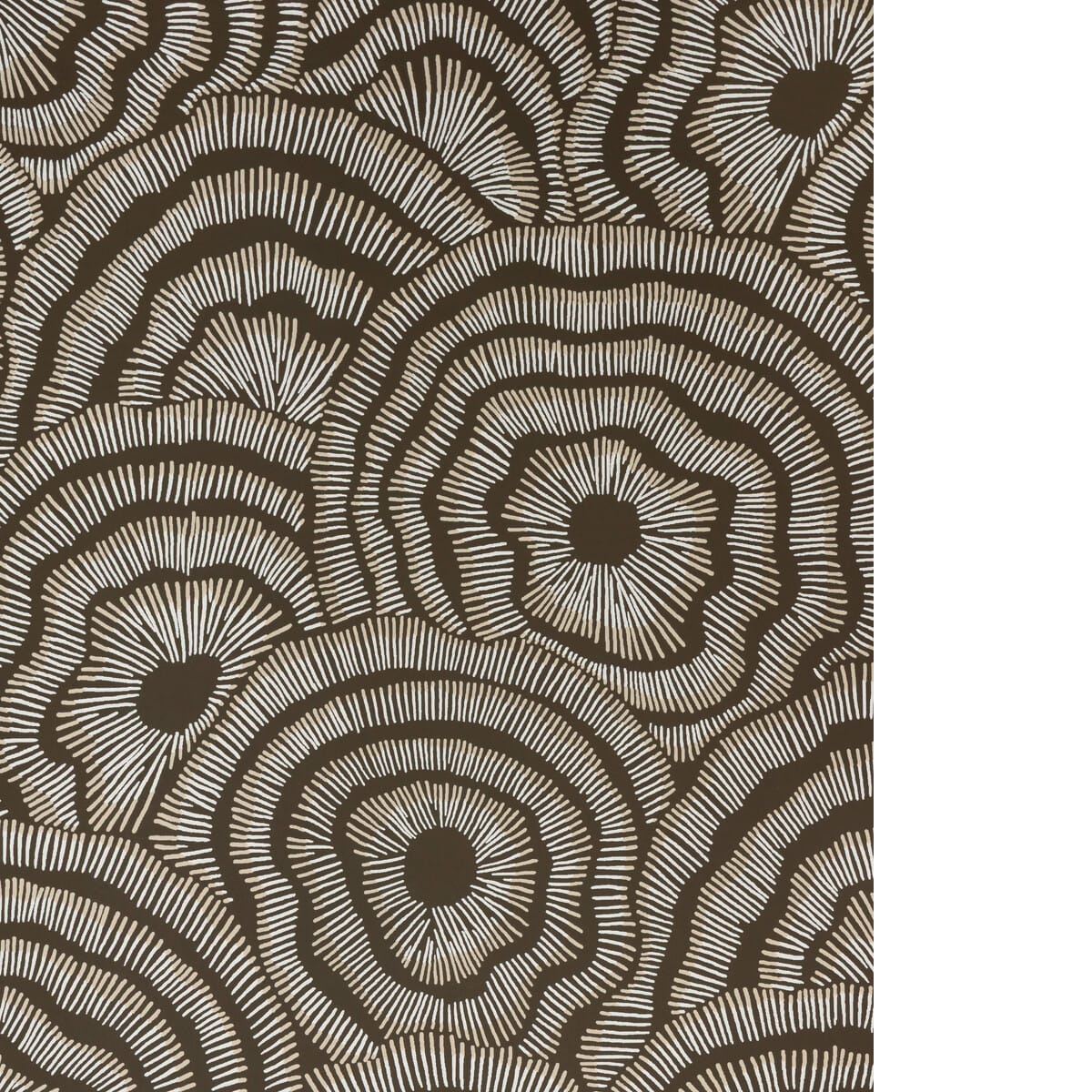 w382361160-panache-wp-chocolate-kravet-couture - KRAVET COUTURE Wallpaper