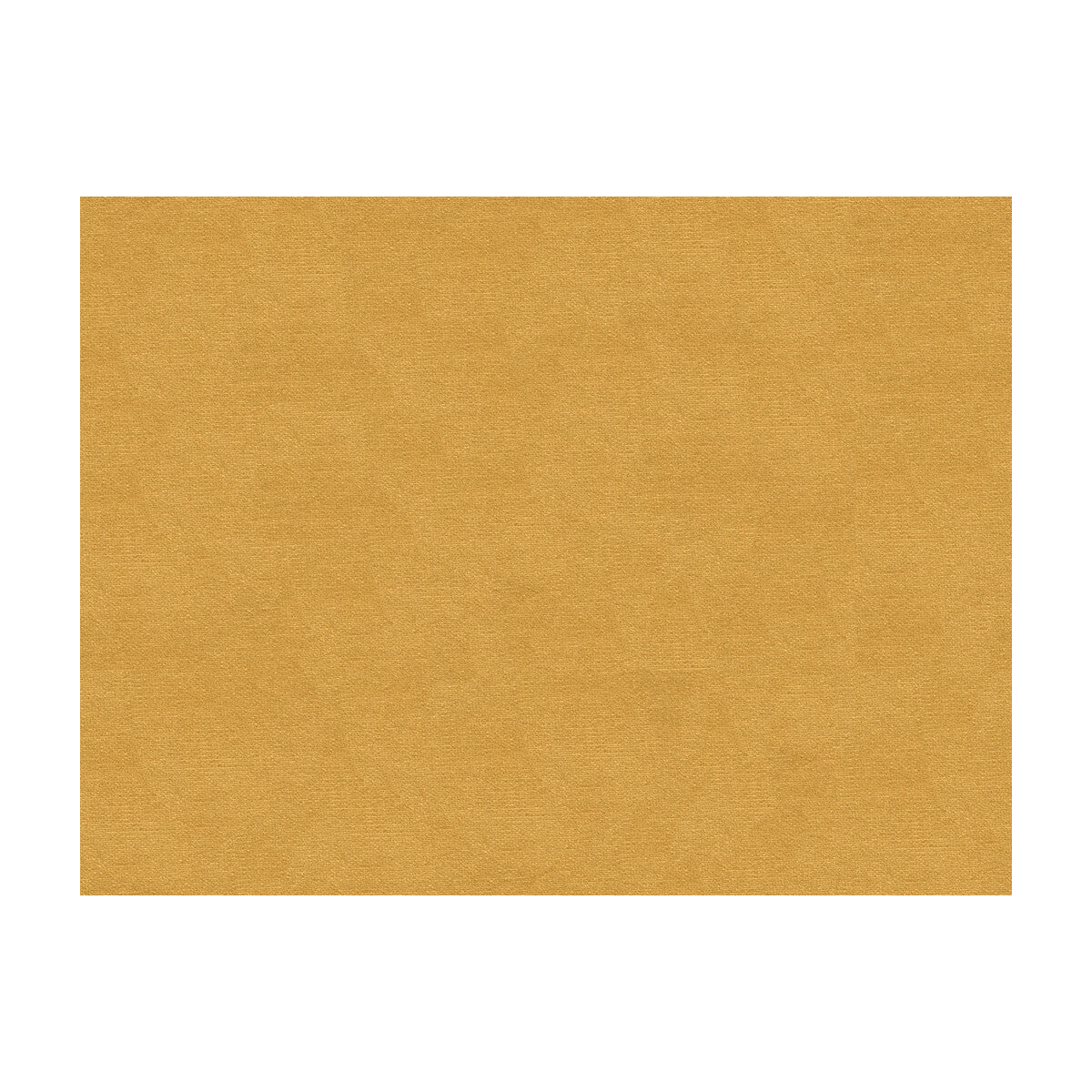 br-897793060-lubeck-cotton-velvet-buttercream-brunschwig-fils - BRUNSCHWIG & FILS Fabric