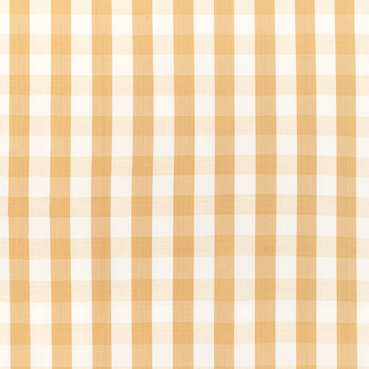 br-89149400-carsten-check-gold-brunschwig-fils - BRUNSCHWIG & FILS Fabric