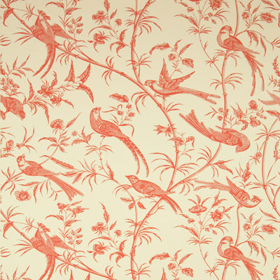 br-691351210-bengali-rose-brunschwig-fils - BRUNSCHWIG & FILS Wallpaper