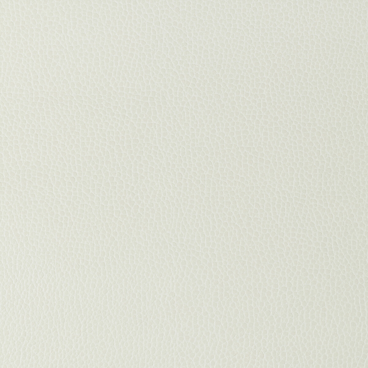 gillian1010-kravet-design-gillian-101-kravet-design